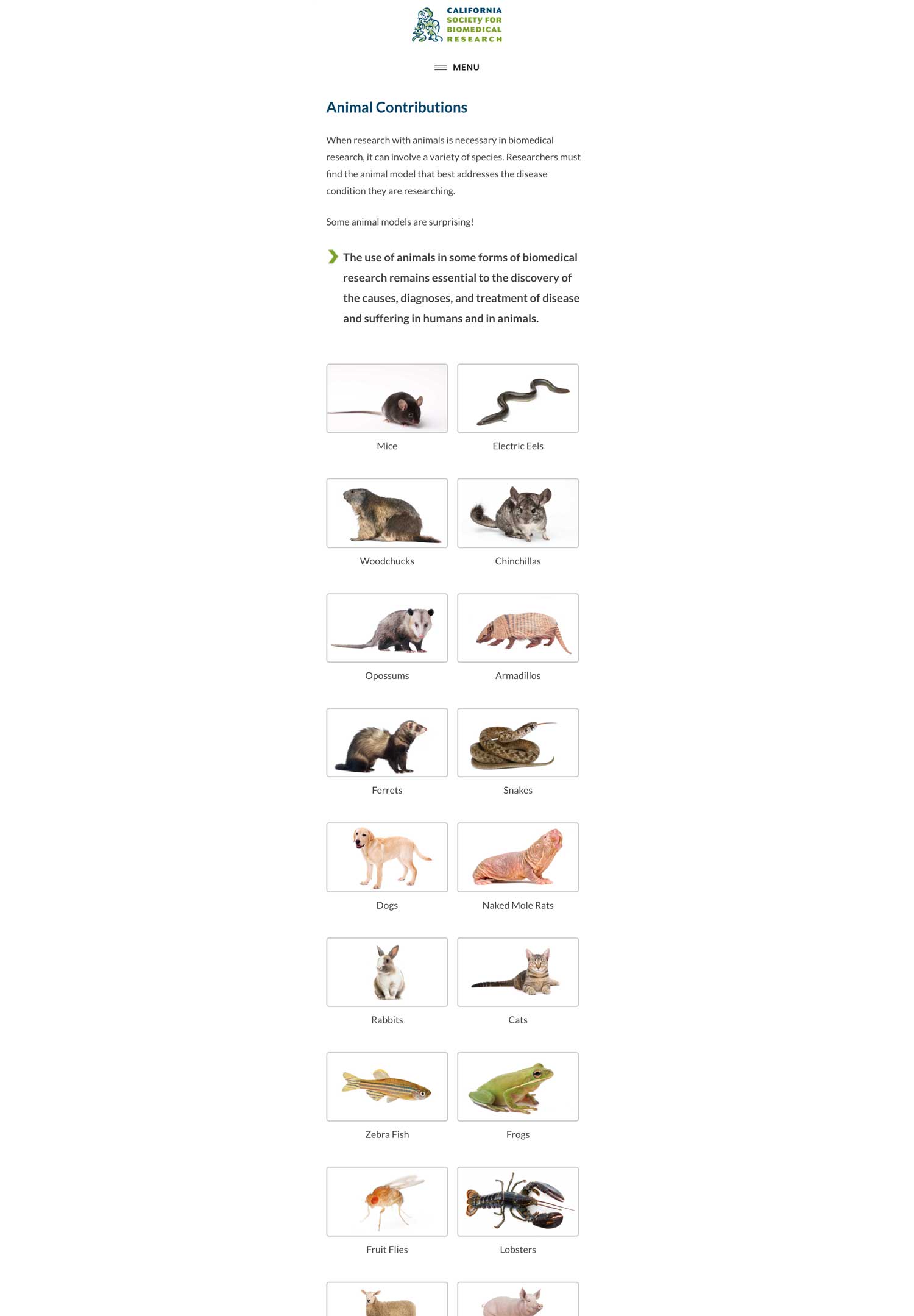 Animal Contributions Page - Mobile